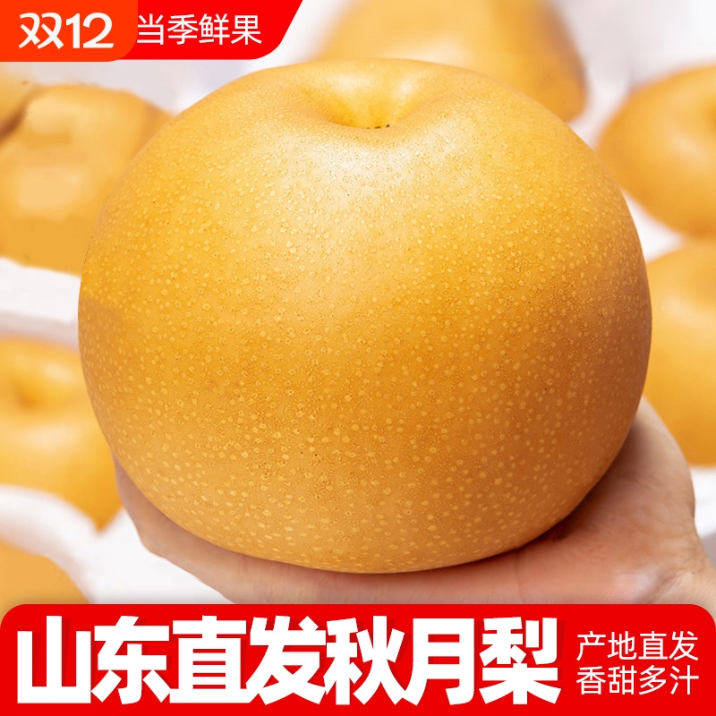 【顺丰包邮】山东直发正宗秋月梨