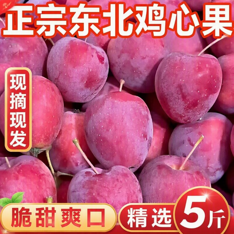 现摘东北鸡心果锦绣海棠沙果甜脆多汁小苹果新鲜应季孕妇水果包邮