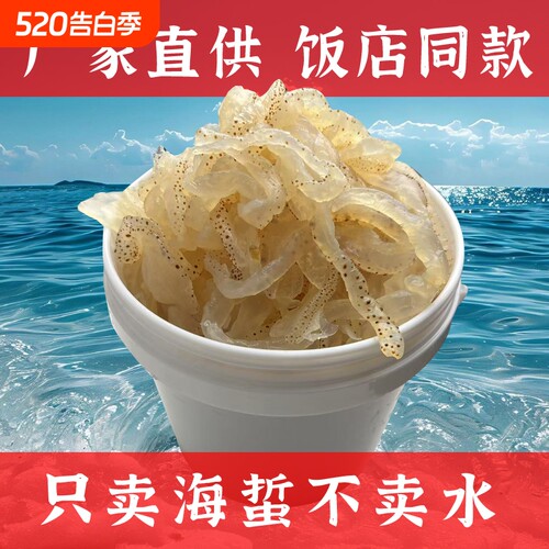 野生海蜇珊瑚特级新鲜凉拌菜无沙批发凉拌即食海蜇皮海蜇头凉菜