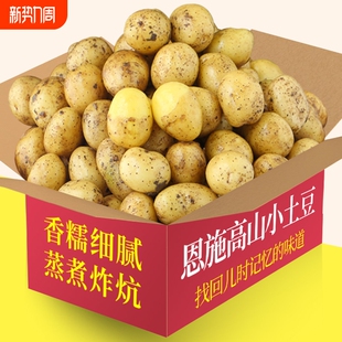 湖北马铃薯蔬菜 新鲜高山洋芋迷你黄心士豆当季 恩施小土豆整箱 包邮