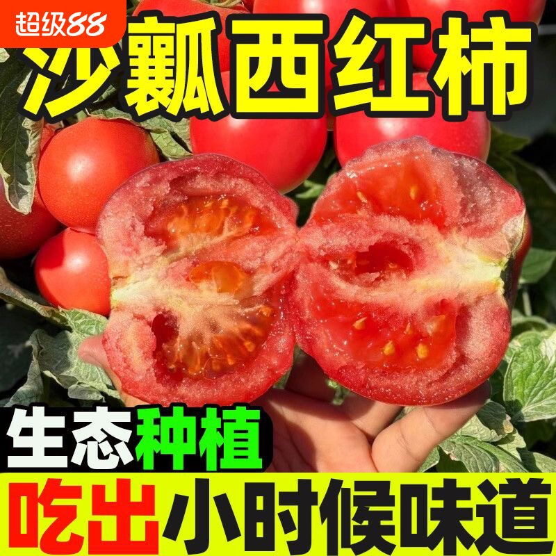 四川攀枝花西红柿新鲜自然熟水果农家新鲜普罗旺斯沙瓤大番茄