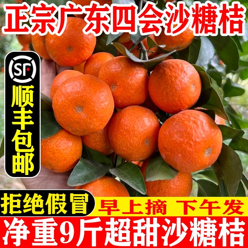 顺丰现货广东四会沙糖桔砂糖橘当季新鲜水果橘桔子沙糖橘柑橘香甜,水产肉类/新鲜蔬果/熟食,桔子,淘宝优惠券,粉丝福利购,淘宝优惠卷