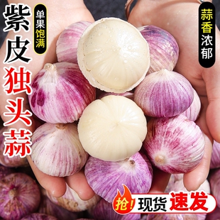 紫皮独头蒜农家新干2026大蒜头应当季独蒜5斤干蒜非湿蒜时令蔬菜