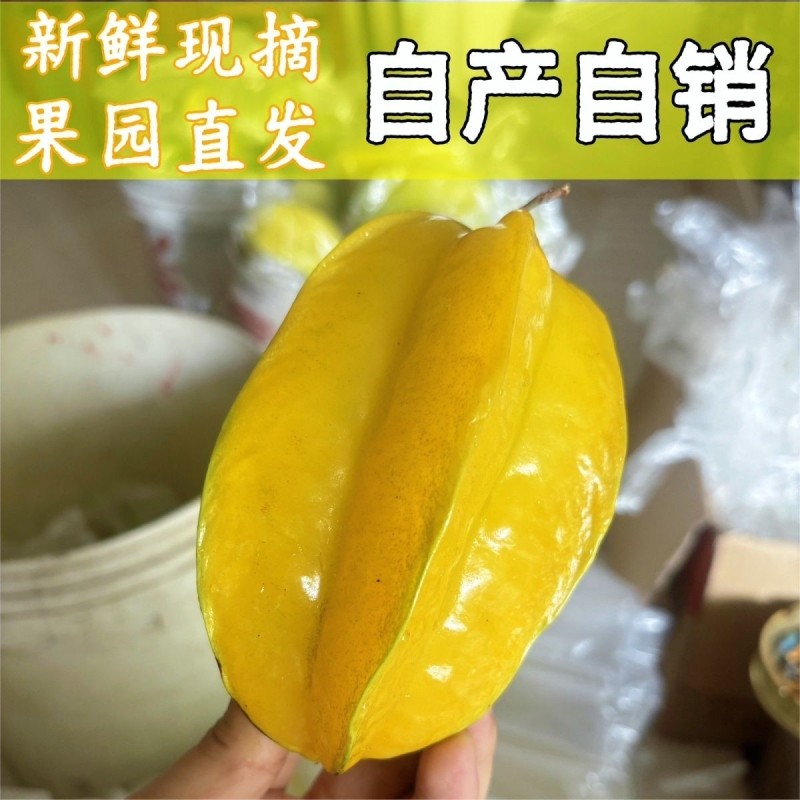 广东杨桃新鲜水果当季热带孕妇精选整箱包邮阳当天现摘装正宗,水产肉类/新鲜蔬果/熟食,杨桃,淘宝优惠券,粉丝福利购,淘宝优惠卷