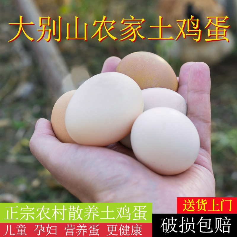 散养土鸡蛋湖北大别山农村杂粮谷物蛋±50g儿童老人鸡蛋现捡现发