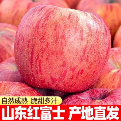 正宗山东烟台红富士产地直发