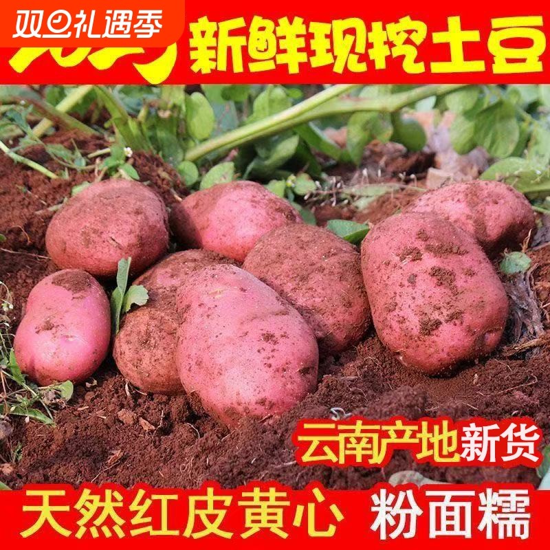 云南红皮黄心土豆9斤包邮新鲜小土豆农家蔬菜洋芋自种马铃薯批发