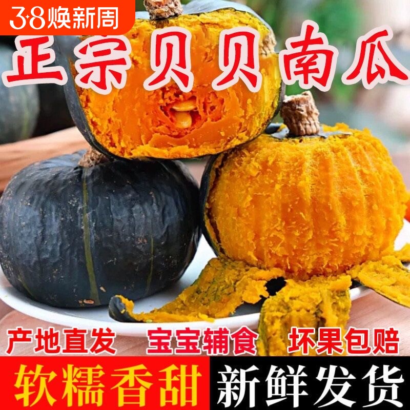 贝贝南瓜正宗板栗味粉糯香甜板栗小南瓜老南瓜婴儿辅食新鲜蔬菜