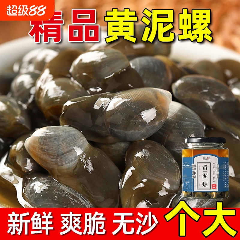 舟山泥螺特大号即食黄泥螺生腌鲜活醉宁波特产海鲜新鲜腌制醉泥螺