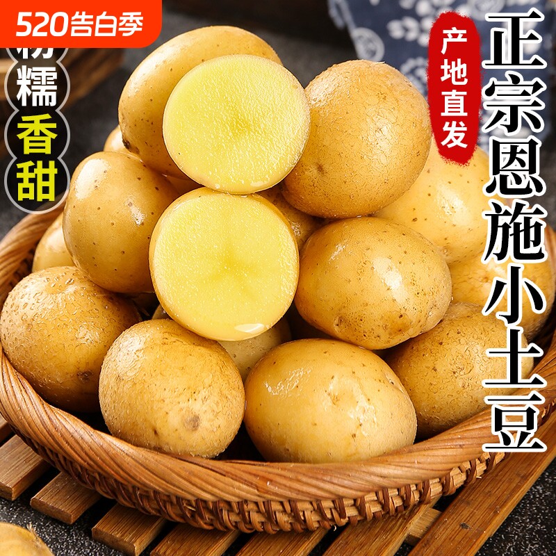 2025年高山新鲜现挖黄心土豆农家洋芋当季粉糯时令蔬菜自种富硒