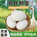 农家正宗散养新鲜土鹅蛋现捡现发12枚农村特大纯天然鹅蛋鲜蛋大个