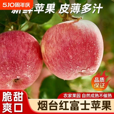 正宗山东红富士冰糖大果苹果