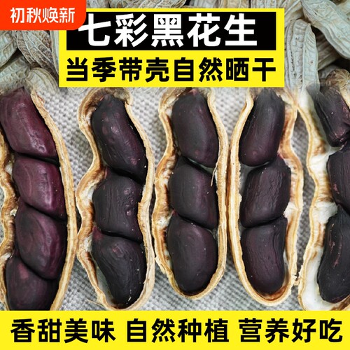 云南富硒黑花生带壳花生 新货晒干黑皮花生农家原味零食香甜包邮
