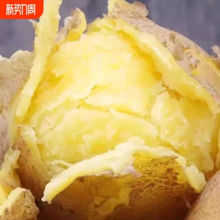 甘肃定土豆黄皮黄心沙面软糯洋芋农家自重土豆新鲜整箱 包邮
