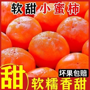 爆甜正宗火晶柿子蜜柿爆浆软柿子水晶柿子新鲜应季 孕妇水果批发