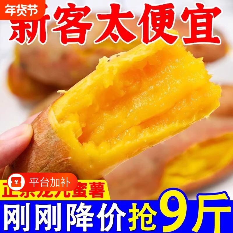 正宗沙地黄心蜜薯现挖龙九番薯新鲜地瓜板栗红薯山芋批发香甜自提