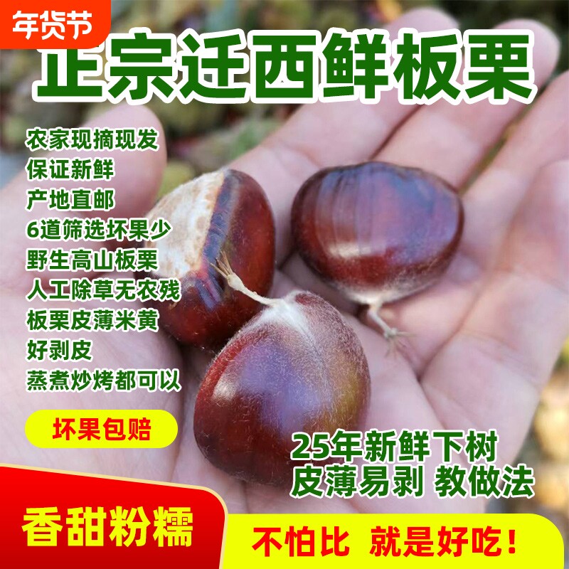 25年新货迁西板栗3113炒货100斤批发糖炒商用油栗生板栗子新