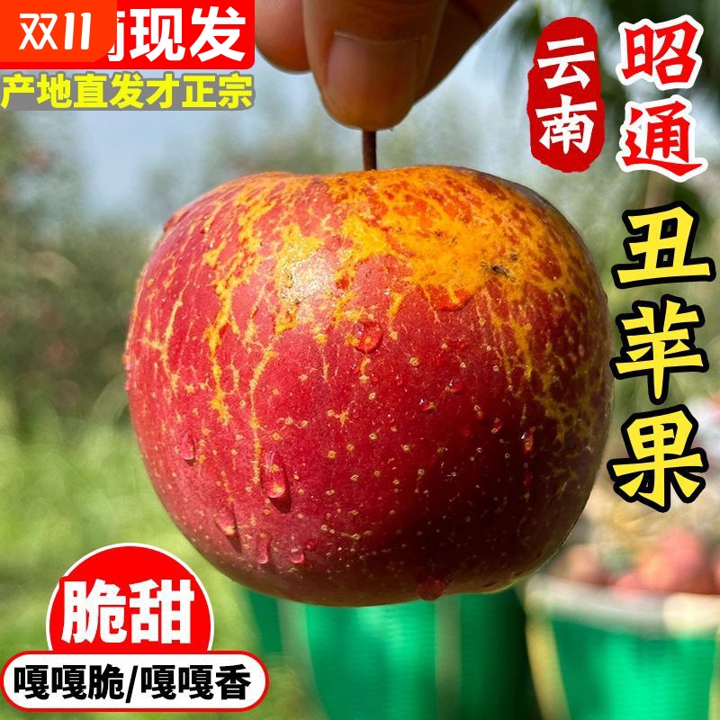 25云南昭通丑苹果正宗冰糖心新鲜水果当季脆甜苹果孕妇水果整箱
