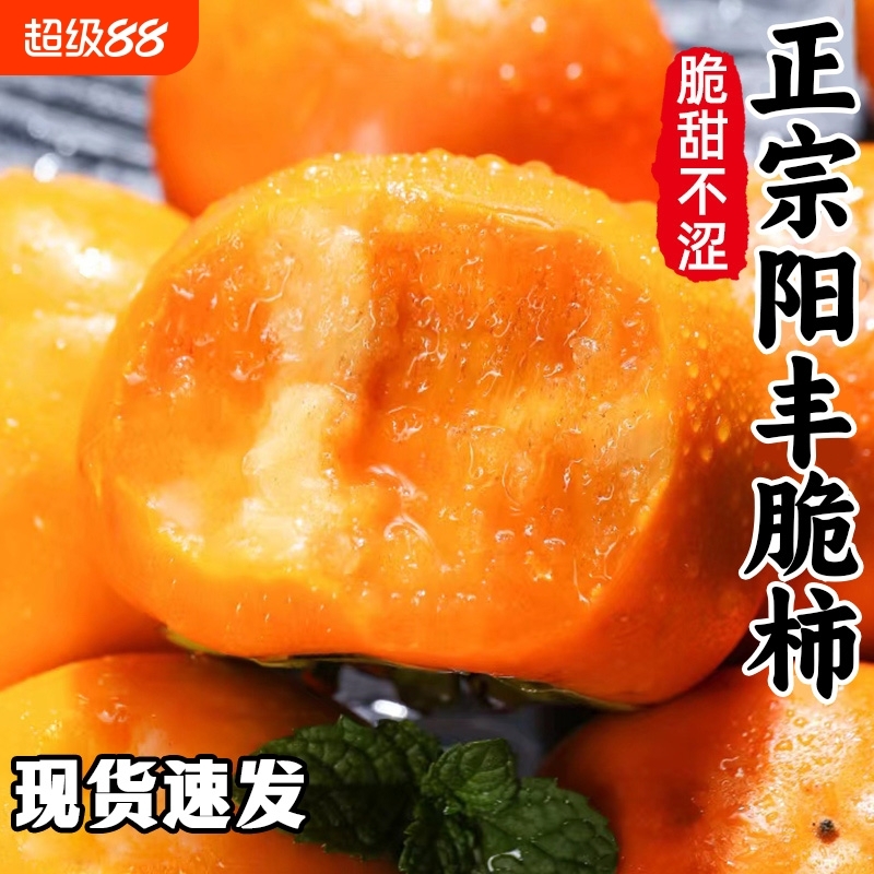 正宗山西阳丰巧克力脆柿