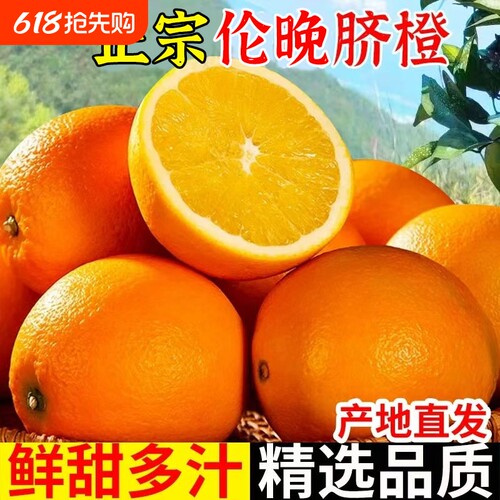 正宗伦晚脐橙湖北秭归脐橙新鲜橙子特级大果农场直发孕妇手剥橙