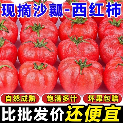 新鲜自种阳光沙瓤西红柿2250g