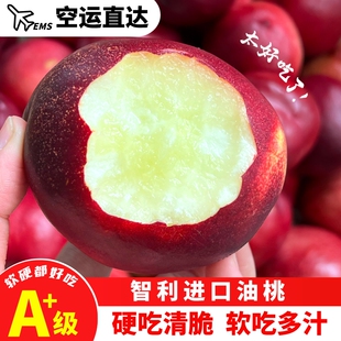 【空运直达】新鲜油桃正宗智利进口桃子现摘现发爽口脆甜多汁桃香
