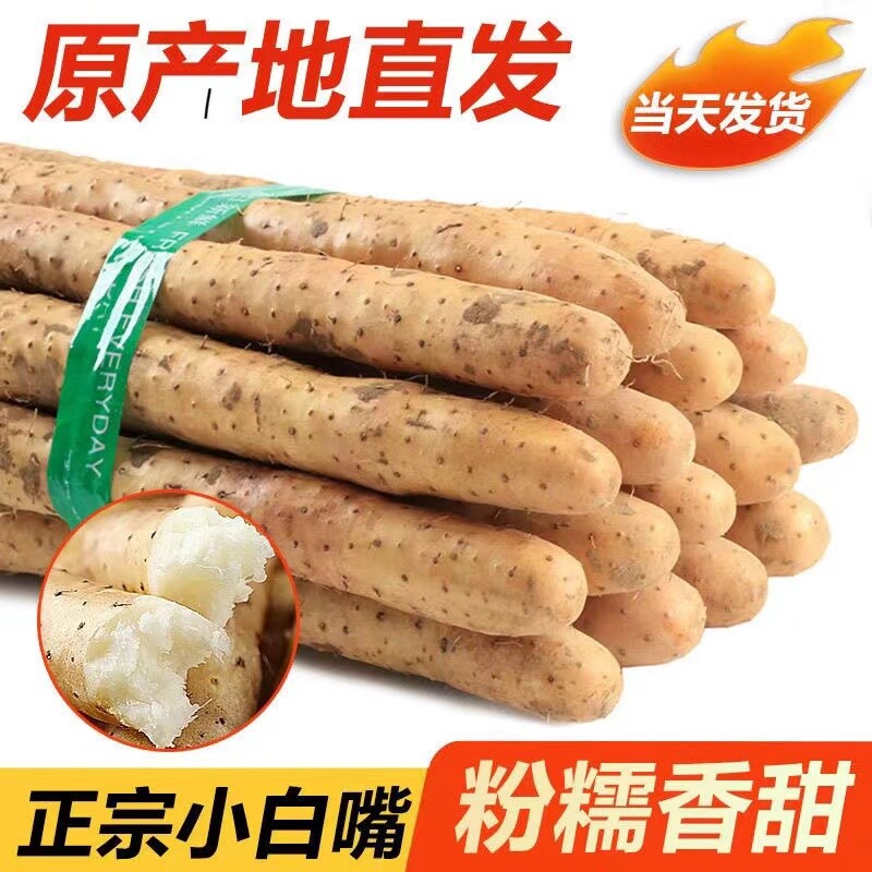 正宗小白嘴山药铁棍山药新鲜现挖山药老少皆宜宝宝辅食5斤装