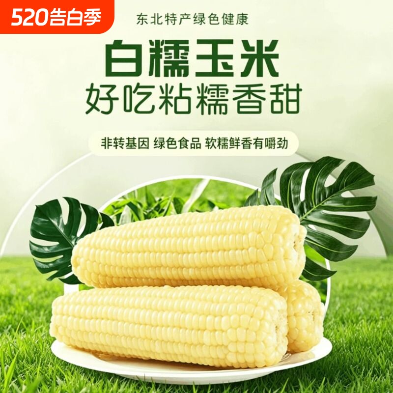 白糯玉米东北白糯玉米软糯香甜真空装加热即食新鲜玉米棒代餐粗粮