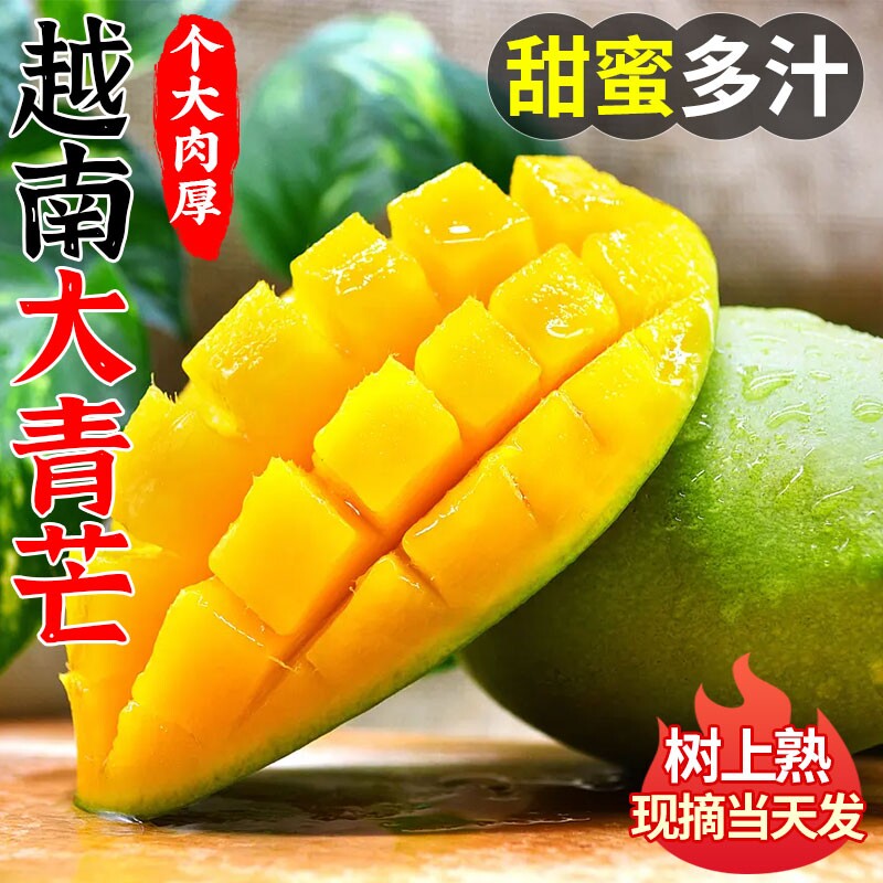 越南大青芒当季新鲜水果生吃酸脆芒果现摘整箱青皮金煌芒孕妇包邮