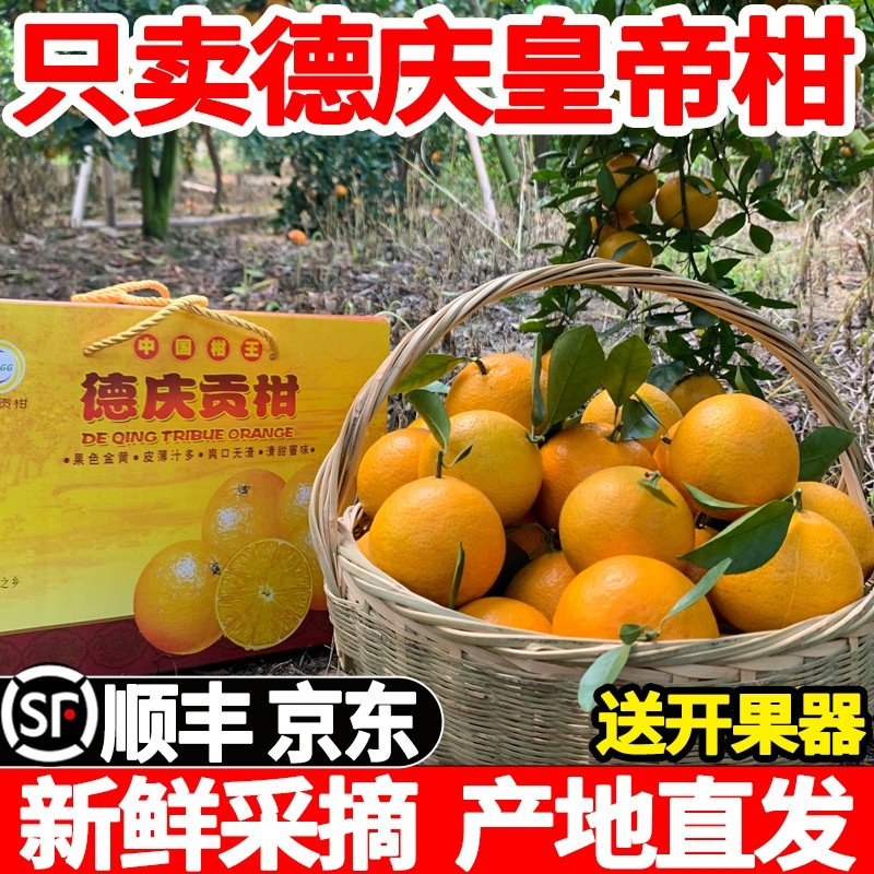 正宗德庆皇帝柑当季新鲜贡柑沃橘丑桔子爱媛水果礼盒5/10斤装大果,水产肉类/新鲜蔬果/熟食,桔子,淘宝优惠券,粉丝福利购,淘宝优惠卷
