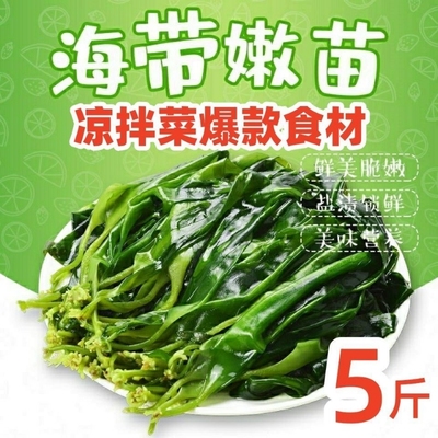 福建霞浦特产裙带菜海带苗嫩菜盐渍嫩苗商用火锅食材干货批发即食