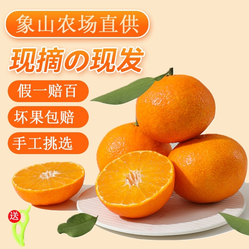 正宗象山红美人柑橘新鲜桔子果冻橙爱媛28号水果当季整箱包邮现摘