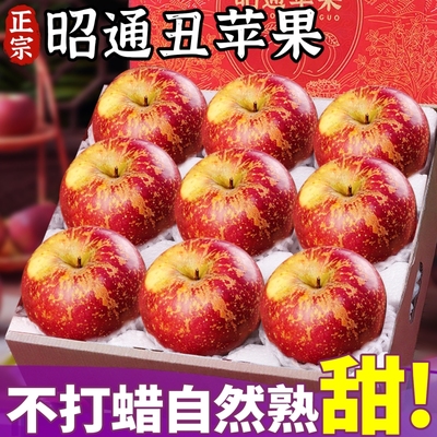 云南昭通丑苹果5斤礼盒新鲜现摘冰糖心当季水果甜脆甜送礼多汁