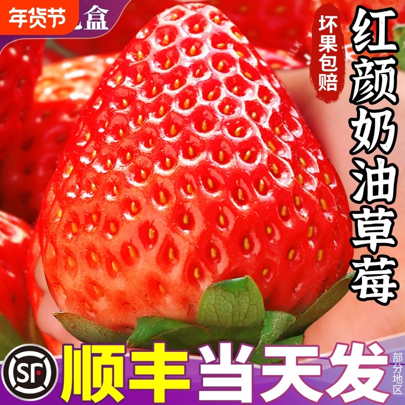 顺丰红颜奶油草莓水果当季99九九非丹东草莓整箱包邮鲜生露天一颗,水产肉类/新鲜蔬果/熟食,草莓,淘宝优惠券,粉丝福利购,淘宝优惠卷