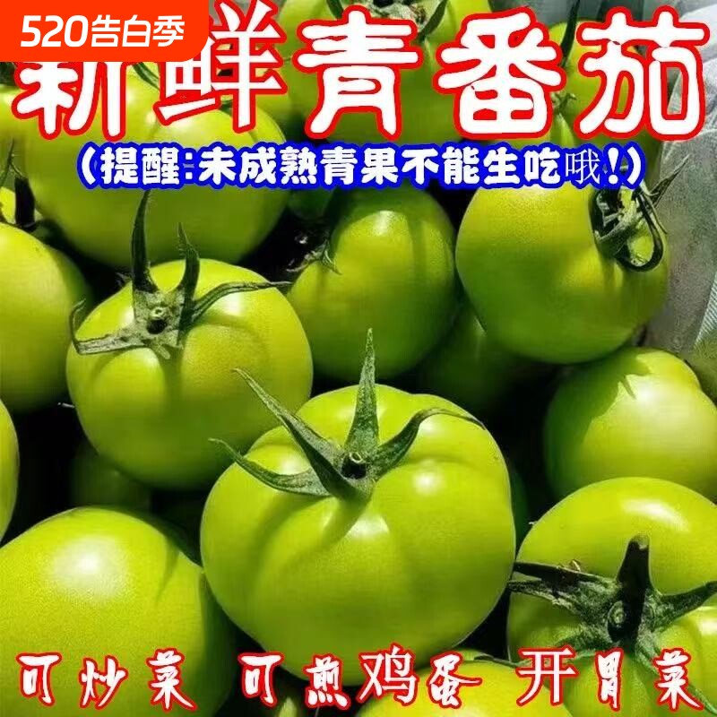 青番茄山西特产青西红柿新鲜现摘当季农家蔬菜农家菜自种直发