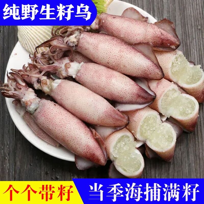 新鲜海兔满籽冷冻籽乌新鲜墨鱼仔带籽小鱿鱼乌贼带籽笔管鱼纯籽