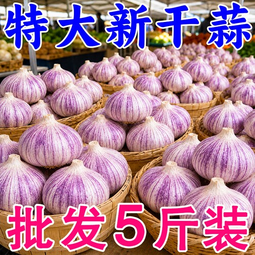 今年新干蒜5斤大蒜头金乡大蒜