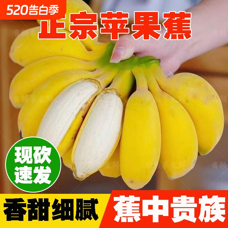 [好甜]正宗广西苹果蕉现摘新鲜应季水果软糯香甜粉香蕉自然熟包邮
