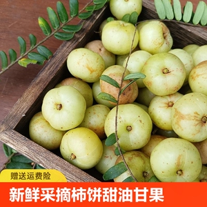 潮汕油甘新鲜采摘柿饼甜油柑果余甘果牛甘果孕妇解馋油甘果包邮