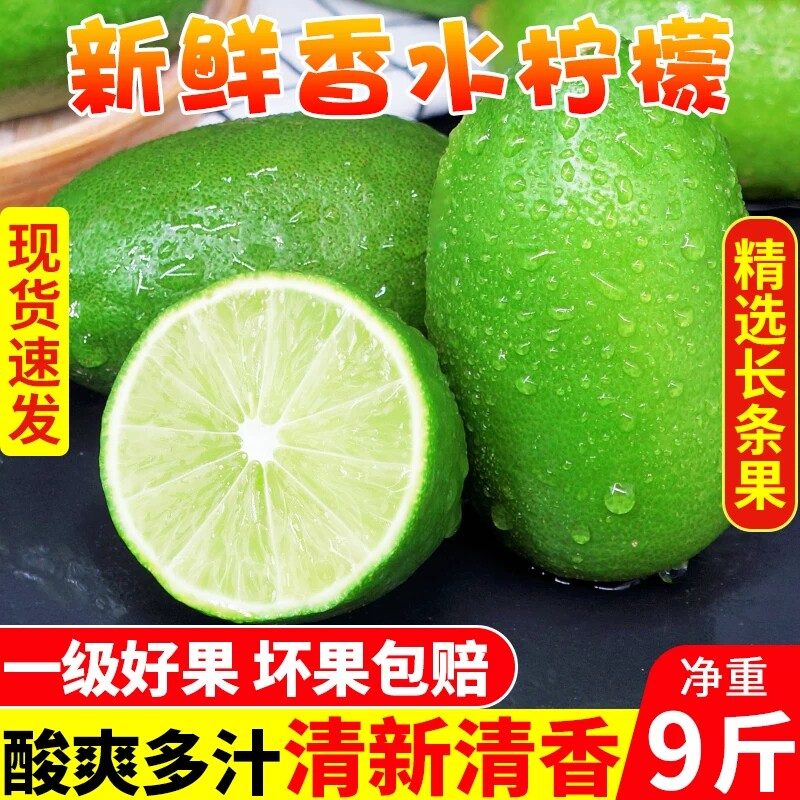云南香水柠檬奶茶店专用新鲜正宗青柠檬无籽大果一级果应当季水果