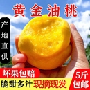 现摘 黄油桃黄金桃桃子新鲜脆酸黄桃孕妇水果锦绣黄桃芒芒桃当季