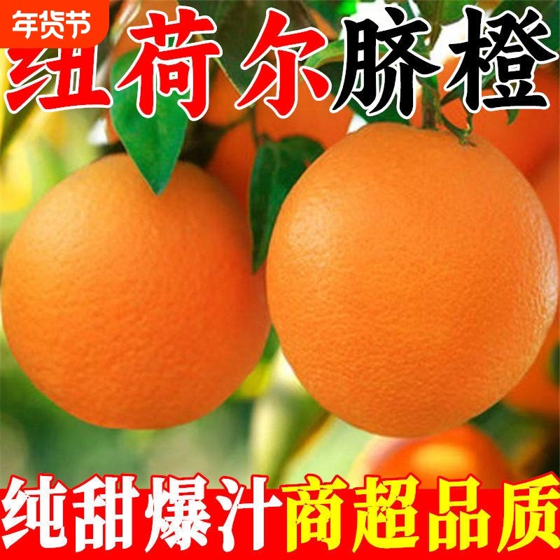 纽荷尔高山脐橙非赣南脐橙新鲜橙子甜橙水果果冻鲜橙包邮年货节