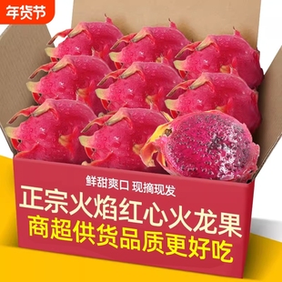 正宗云南高山火焰品种红心火龙果3-5斤海南金都一号新鲜水果红肉