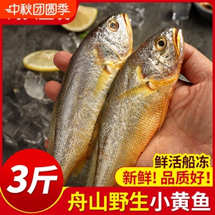 舟山小黄鱼新鲜冷冻深海海捕小黄花鱼黄鱼水产3斤商用烧烤鲜活