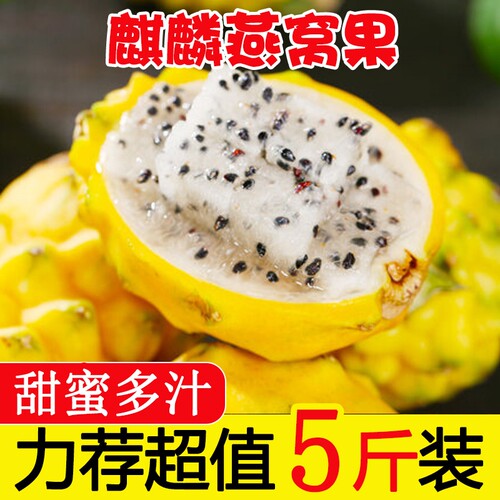 正宗新鲜麒麟燕窝果当季黄皮白心火龙果热带特产新鲜水果海南包邮
