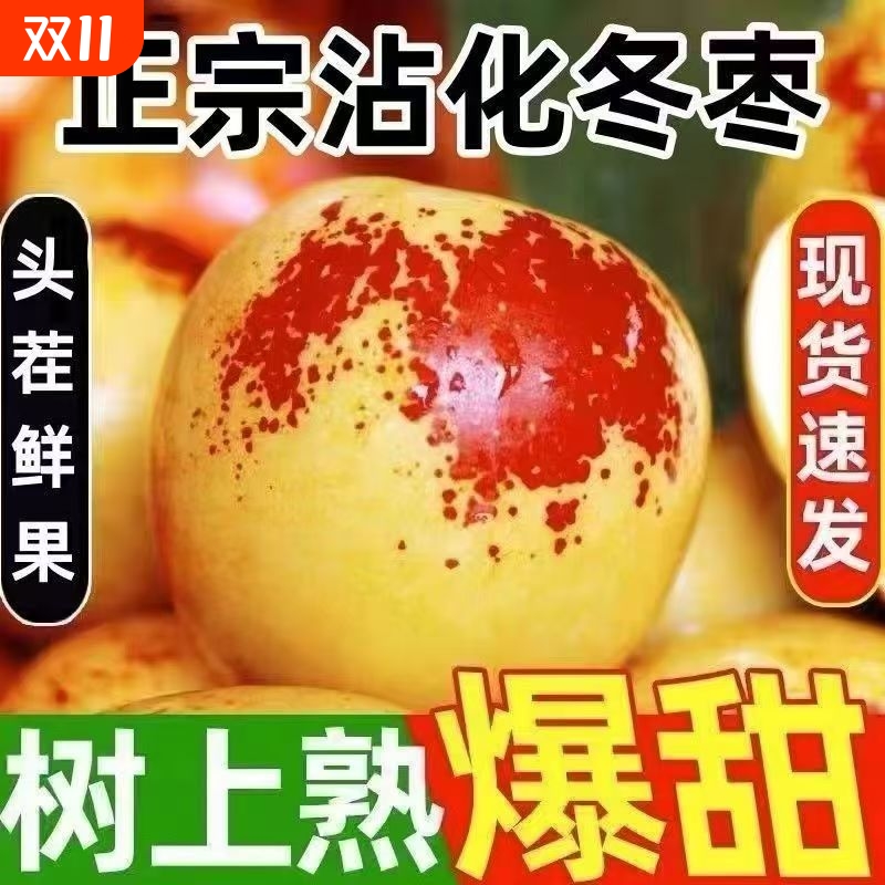 正宗山东滨州沾化冬枣新鲜现摘应季孕妇水果脆甜农家自种鲜枣大果