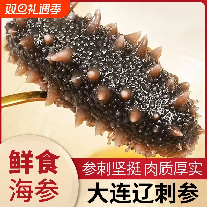 大连海参即食刺参鲜活冷冻辽参干货海参真空特价滋补水产冷冻深海