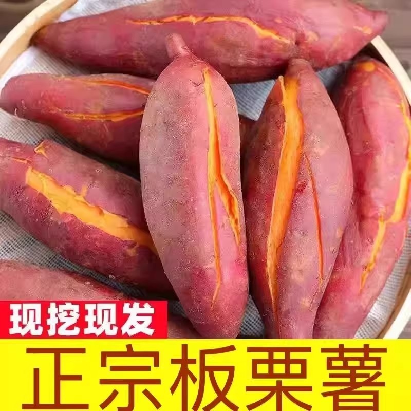 正宗沙地糖心蜜薯9斤红薯现挖新鲜农家番薯粉糯地瓜现发黄心板栗,水产肉类/新鲜蔬果/熟食,番薯,淘宝优惠券,粉丝福利购,淘宝优惠卷
