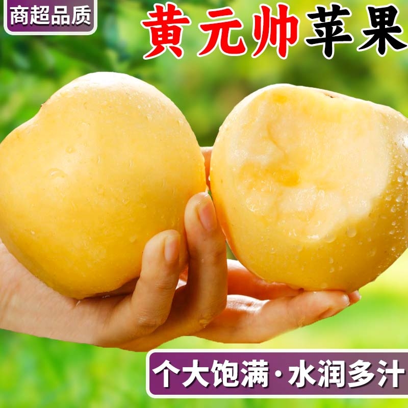 正宗10斤黄元帅苹果当季富士刮泥平果维纳斯水果整箱包邮香蕉现摘