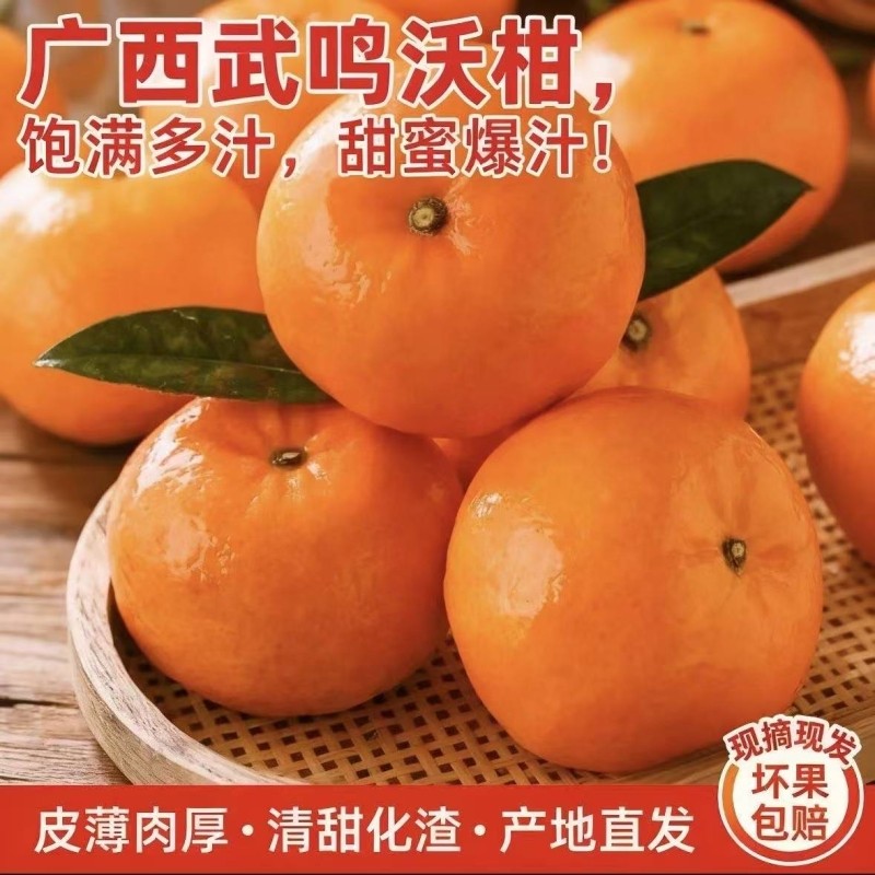 正宗广西武鸣区沃柑新鲜采摘应当季水果整箱包邮甜蜜多汁桔子橘子,水产肉类/新鲜蔬果/熟食,桔子,淘宝优惠券,粉丝福利购,淘宝优惠卷
